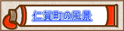 �m�꒬�̕��i